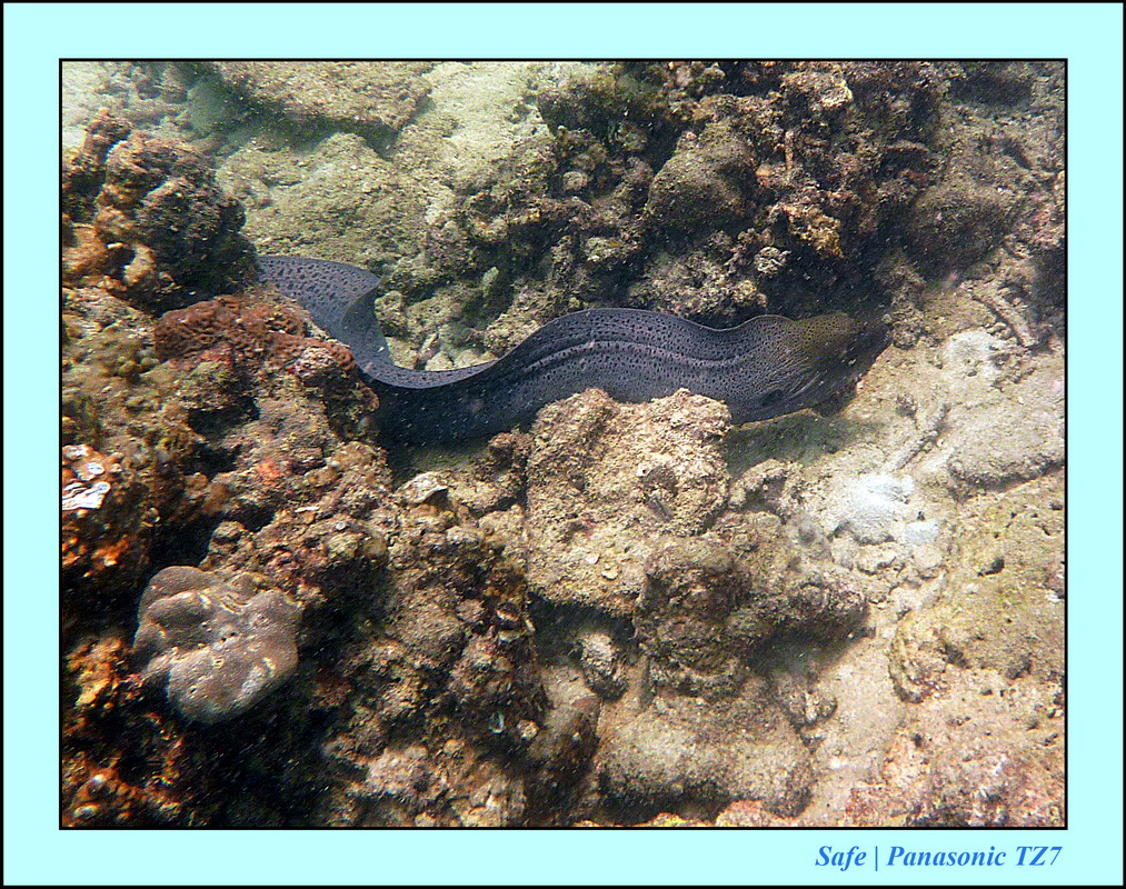 2013 - 01 - Koh Kai 11